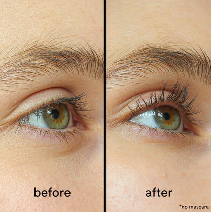 Windshield Cover – AutoShield™ 4Seasons